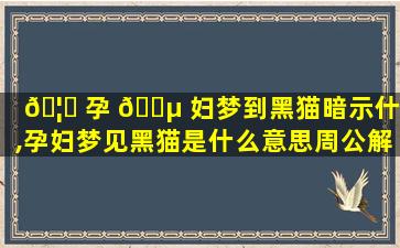 🦁 孕 🐵 妇梦到黑猫暗示什么,孕妇梦见黑猫是什么意思周公解梦
